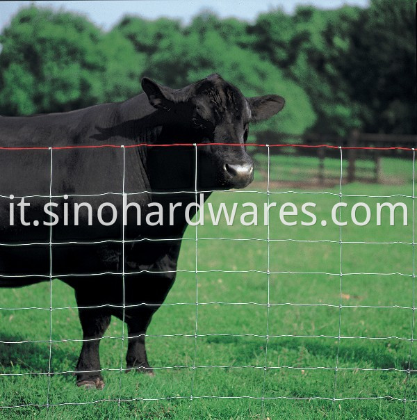 galvanized field fence